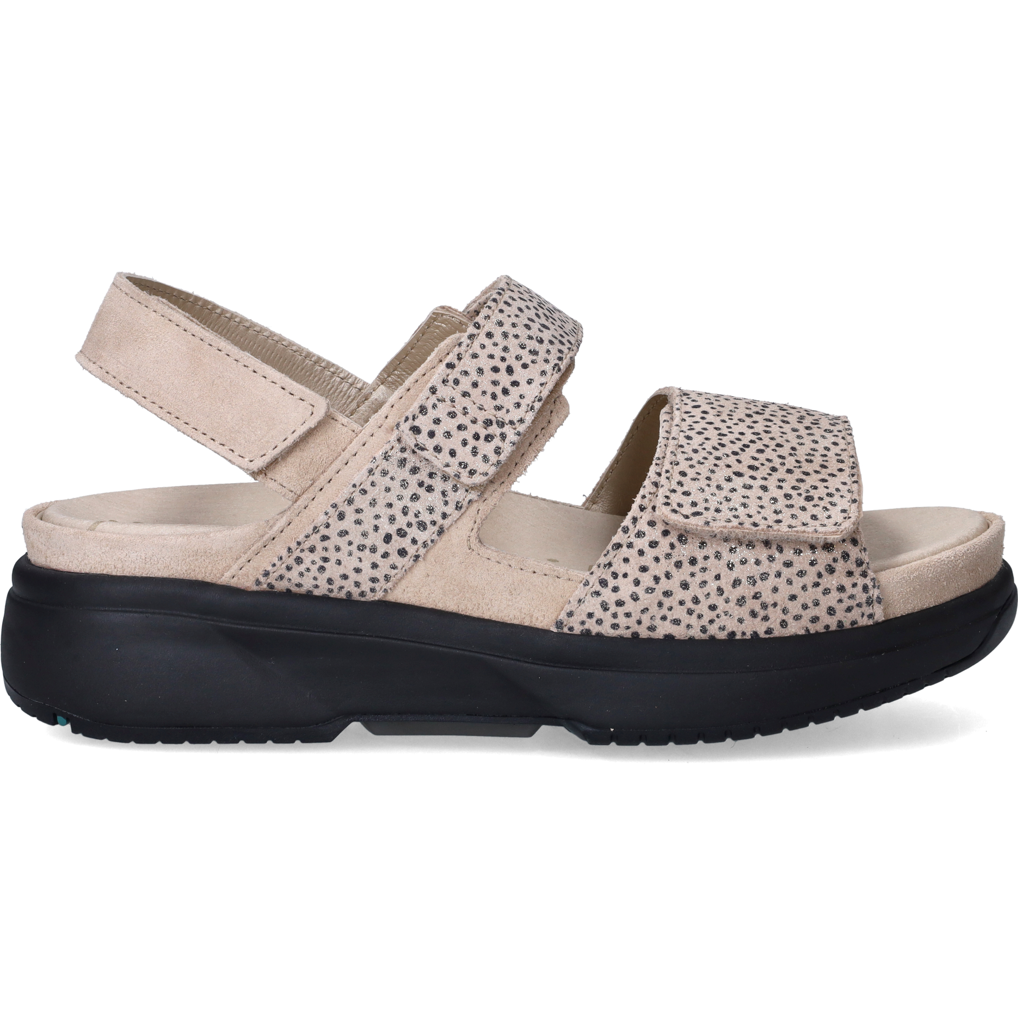 Aruba Stretchwalker, Beige
